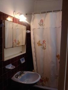 baño con lavabo y cortina de ducha en Miramar departamento 2 ambientes frente al mar en Miramar