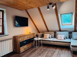 TV a/nebo společenská místnost v ubytování Apartments Mala Korita Soče
