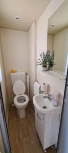 a bathroom with a toilet and a sink and a mirror at Mobile Home Shelbox in Biograd na Moru +5 photos
