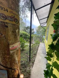 Zahrada ubytování Romántico refugio en la montaña