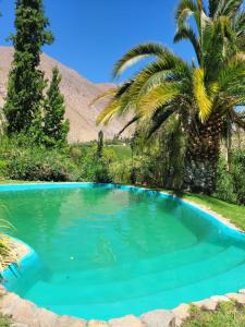 uma piscina azul com palmeiras e montanhas ao fundo em CASAS AMANCAY - Alcohuaz em Alcoguaz