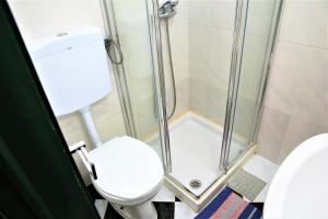 Family Bedroom في لشبونة: حمام مع دش ومرحاض