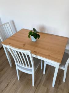 a wooden table with two chairs and a potted plant on it at Apartament Długie Ogrody 54 in Gdańsk