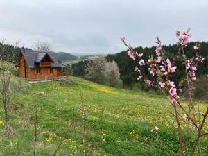 新瓦罗什Imanje Mir的一座带花田的山丘上的小木屋