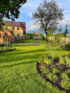 un patio con un árbol y una casa en Penzion Adamčík, en Huštěnovice