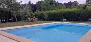a large blue swimming pool in a yard at Villa Garden & Pool - Alojamentos in Celorico de Basto