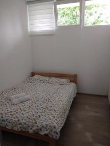 una cama en una habitación con dos ventanas en Apartman Niki 1, en Niš