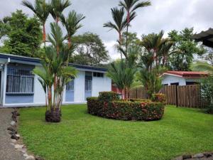 einen Hof mit Palmen vor einem Haus in der Unterkunft Spacious and relaxing property. in Ojochal