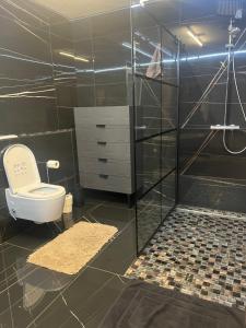 a bathroom with a toilet and a glass shower at Era Home Deluxe in Murg