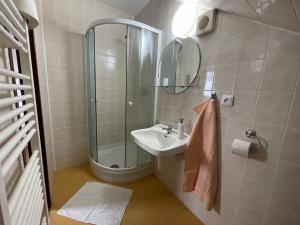 La salle de bains est pourvue d'un lavabo et d'une douche. dans l'établissement Pension Korýtko, à Horská Kvilda