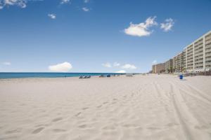Spiaggia vicina o nei dintorni dell'appartamento