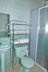 a bathroom with a toilet and a shower and a sink at VILLA ERIKA comoda casa bellisima vista in Paipa
