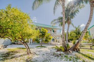 un bâtiment avec des palmiers en face de celui-ci dans l'établissement DV 4 at DV Cabanas Gold Standard Certified, à Caye Caulker