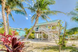 a house on the beach with palm trees at DV 4 at DV Cabanas Gold Standard Certified in Caye Caulker
