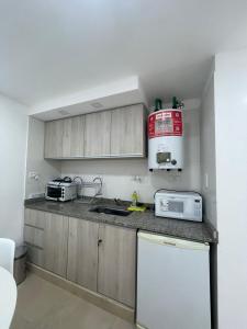 Kuchyň nebo kuchyňský kout v ubytování AIKA Monoambientes