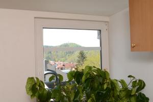 Nespecifikovaný výhled na hory nebo výhled na hory při pohledu z apartmánu