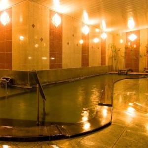 a large pool of water in a bathroom with lights at Hotel Kameya Honten in Chikuma