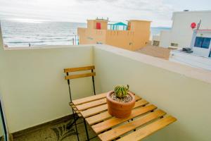 un cactus sentado en un banco de madera en un balcón en Steps to the beach ocean view balcony, en Tijuana