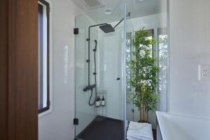 uma cabina de duche em vidro numa casa de banho com plantas em 葉山THE TERRACE HOUSE em Hayama
