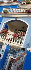 巴里薩爾多的住宿－B&B Sotto Le Stelle vacanze，蓝色的建筑,阳台上放着花盒