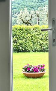 okno z miską kwiatów w trawie w obiekcie Guest Martilla Luxury & Garden w mieście Garda