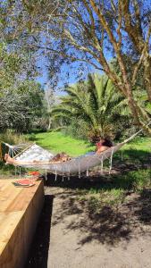 a person laying in a hammock in a yard at Tranquilo Glamping in Hozanejos