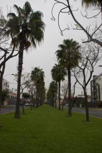 Fotografie z fotogalerie ubytování Casablanca Lima v destinaci Lima