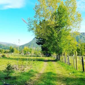 een pad door een veld met bomen en een hek bij Cabañas Trabun Melipeuco in Melipeuco