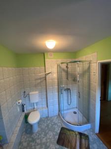 a bathroom with a shower and a toilet and a tub at Anna Pokoje Gościnne in Krościenko