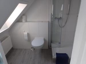 y baño blanco con ducha y aseo. en Apartment Biesnitz en Görlitz