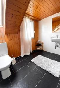 a bathroom with a toilet and a sink at Apartment Romanshorn von Swisspartments in Romanshorn