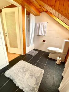 a bathroom with a white toilet and a sink at Apartment Romanshorn von Swisspartments in Romanshorn