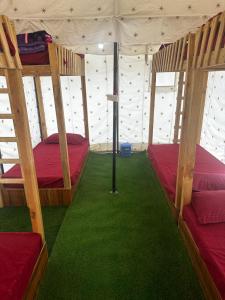 Ce dortoir comprend 2 lits superposés et de la moquette verte. dans l'établissement Bored Ape Jispa - Camp Site, à Jispa