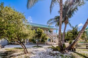 a building with palm trees in front of it at DV 3 at DV Cabanas Gold Standard Certified in Caye Caulker