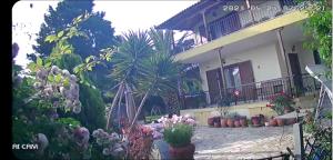 Zahrada ubytování Villa MARGIANI
