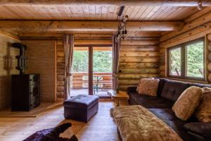 a log cabin living room with a couch and a stove at Casa Montana in Kopaonik