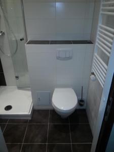 a bathroom with a white toilet and a shower at Appartement "Sonnenperle" in Heiligenhafen