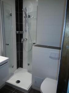 a white bathroom with a shower and a toilet at Appartement "Sonnenperle" in Heiligenhafen