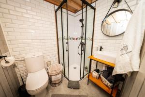 Pomysk WielkiGlamping Kaszuby的带淋浴、马桶和水槽的浴室