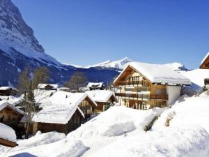 un lodge de ski dans les montagnes couvertes de neige dans l'établissement Steinbilla 2 Bett Ferienwohnung, à Grindelwald