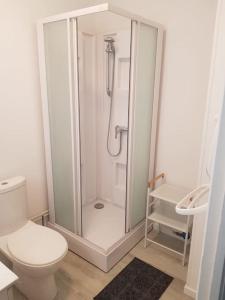 a white bathroom with a shower and a toilet at Le studio du quai in Charleville-Mézières