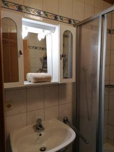 a bathroom with a sink and a shower and a mirror at Haus Obweg - Postalm in Hallein