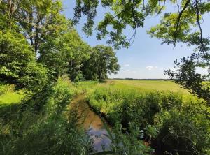 een grasveld met een onverharde weg in het midden bij Traumhaftes Chalet am Veluwemeer, Bad Hoophuizen in Hulshorst