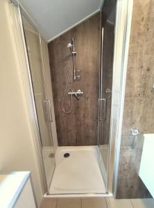 a shower with a glass door in a bathroom at Traumhaftes Chalet am Veluwemeer, Bad Hoophuizen in Hulshorst