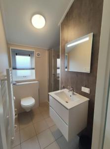 een badkamer met een wastafel, een toilet en een spiegel bij Traumhaftes Chalet am Veluwemeer, Bad Hoophuizen in Hulshorst