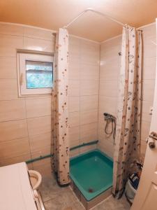 a bathroom with a shower with a green tub at Villa Katharina in Kakanj