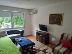 een woonkamer met een bank en een tv bij Dramski apartment in Skopje