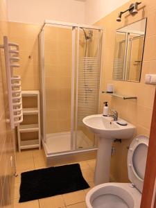 a bathroom with a shower and a toilet and a sink at Przystań Znamirowice in Znamirowice +11 photos