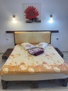a bed with two pillows on it in a room at Gogo’s house in Mangalia