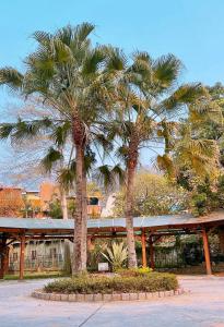 two palm trees in front of a building at TokuGawa Hotel in Shuili